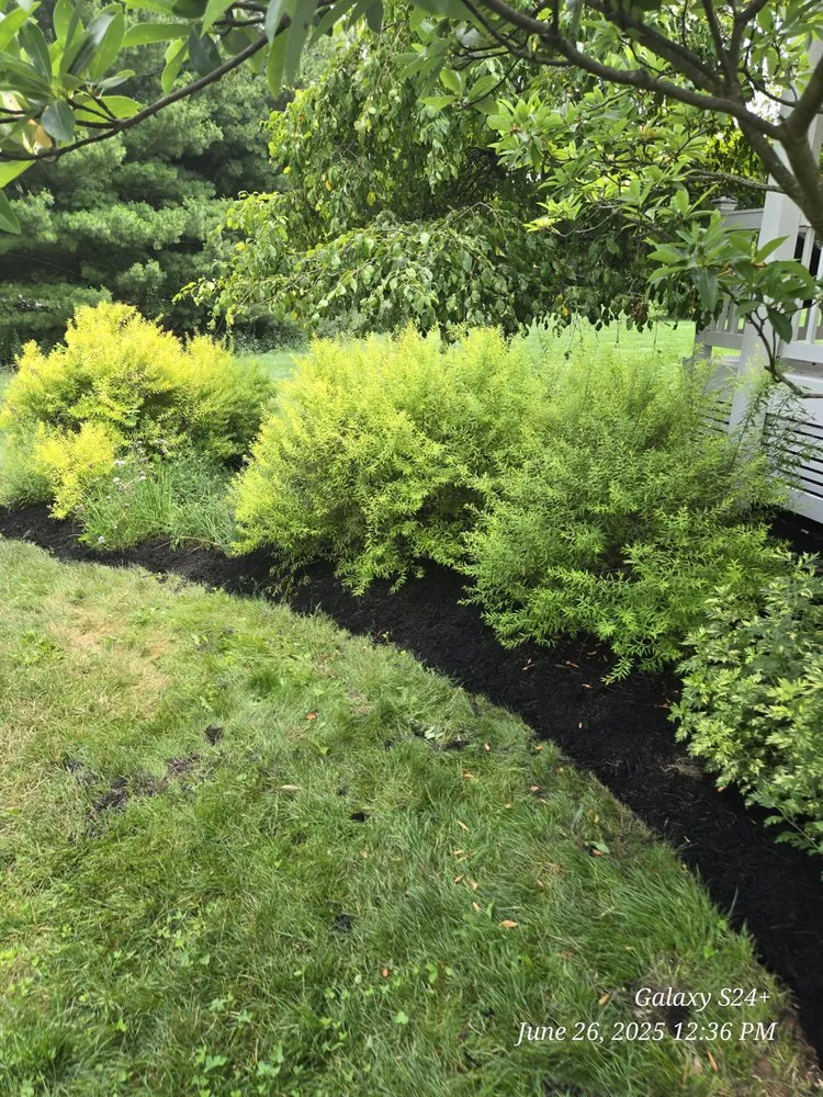 Top-rated outdoor landscaping for residential properties in Newark, OH by Watsons Lawn and Scrap Hauling and Welding