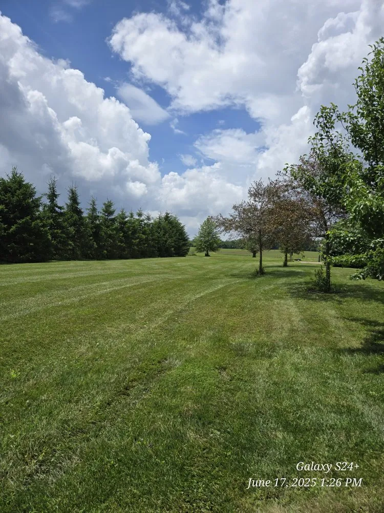 Custom yard cleanup service for residential properties across Newark, OH - Watsons Lawn and Scrap Hauling and Welding