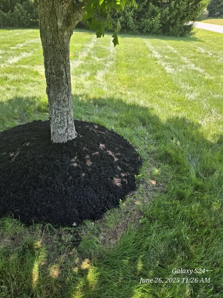 Affordable garden landscaping for beautiful yards in Newark, OH by Watsons Lawn and Scrap Hauling and Welding