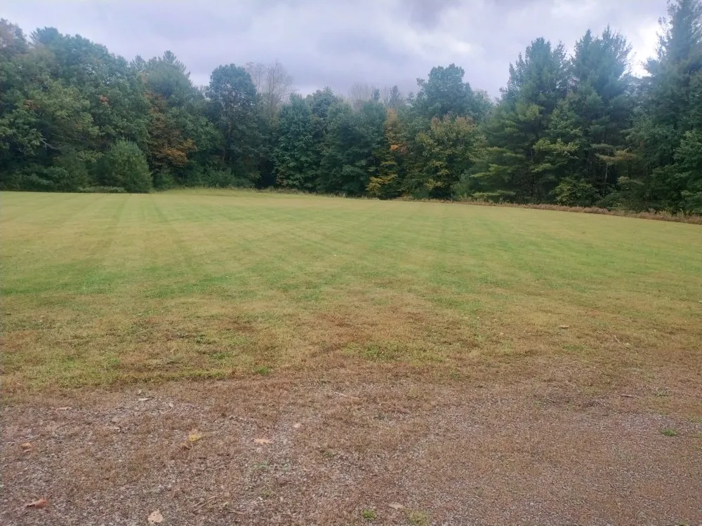 Expert yard cleanup service experts serving Richland, NY - Watson's Lawn Care Contractors