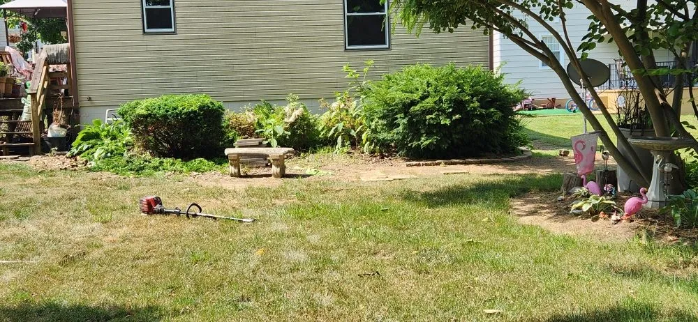 Professional yard cleanup service experts serving Shenandoah, VA - Watson's Lawn Care