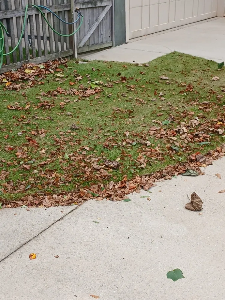 Top-rated yard cleanup service with custom design across Fair Play, SC - Watsons Lawncare And More