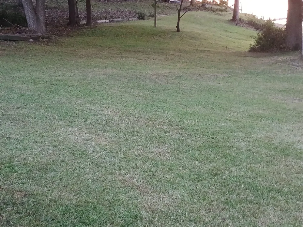 Custom outdoor landscaping for beautiful yards across Fair Play, SC - Watsons Lawncare And More