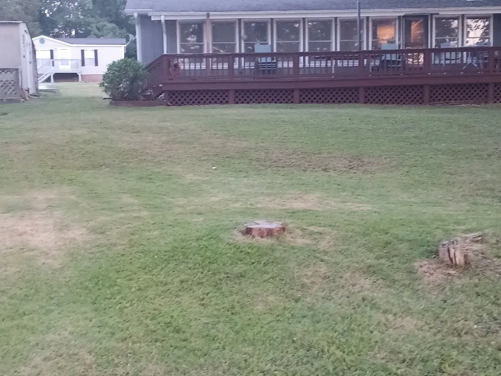 Local lawn care service experts serving Fair Play, SC - Watsons Lawncare And More