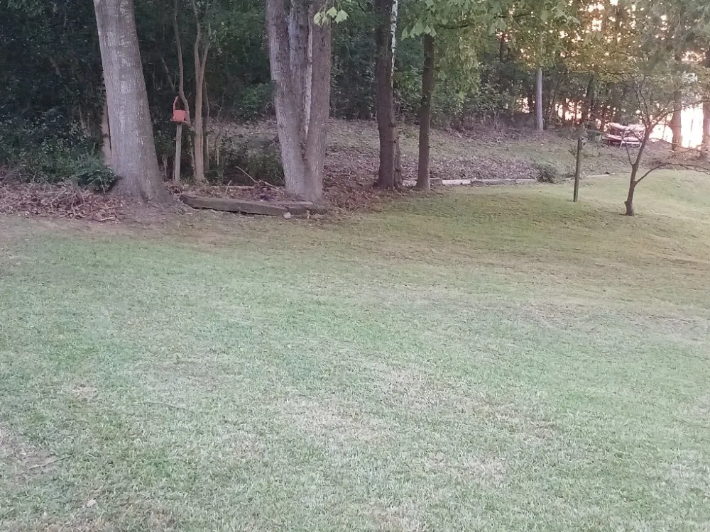 Trusted residential landscaping experts serving Fair Play, SC - Watsons Lawncare And More
