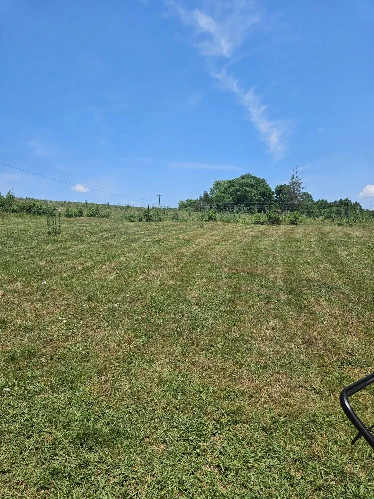 Affordable landscaping services experts serving Jefferson City, TN - Watsons Premium Lawn Care