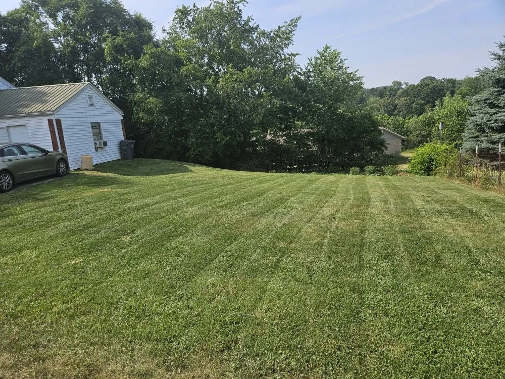 Affordable landscaping services for outdoor upgrades in Jefferson City, TN by Watsons Premium Lawn Care