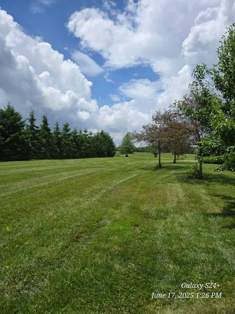 Top-rated lawn mowing service experts serving Newark, OH - Watsons Tree Hauling And Scrap Removal And Old Furniture