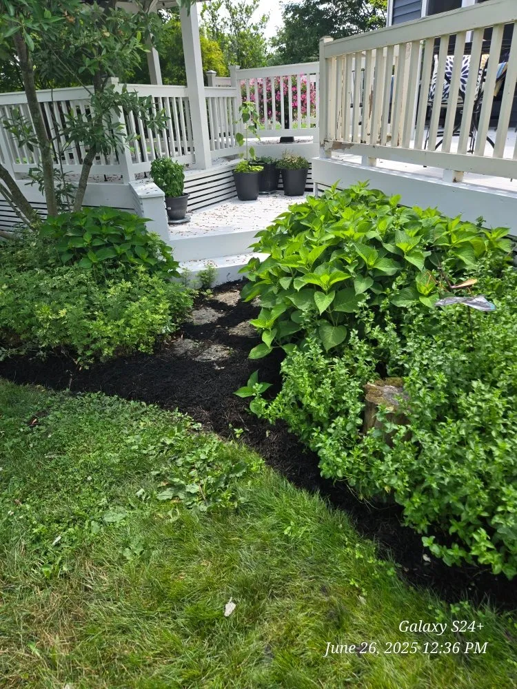 Affordable landscape installation in Newark, OH by Watsons Tree Hauling And Scrap Removal And Old Furniture