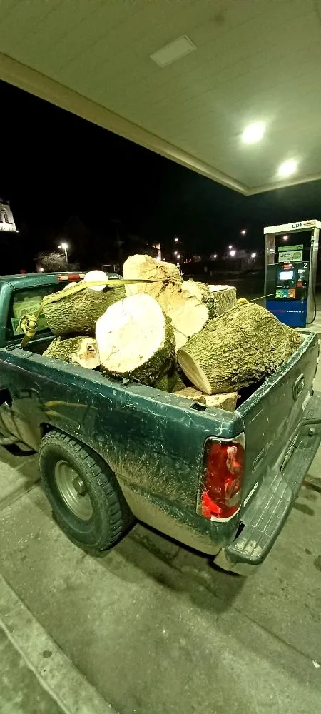 Local yard maintenance experts serving Newark, OH - Watsons Tree Hauling And Scrap Removal And Old Furniture