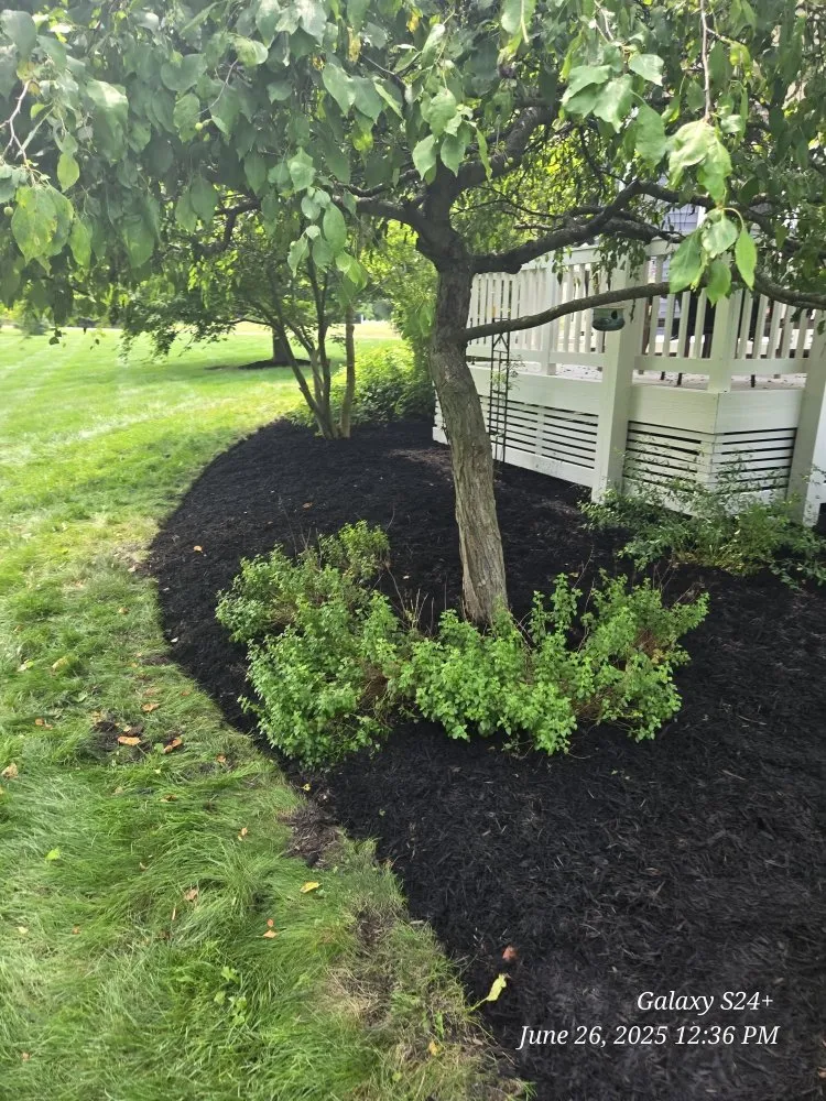 Top-rated lawn care service in Newark, OH by Watsons Tree Hauling And Scrap Removal And Old Furniture