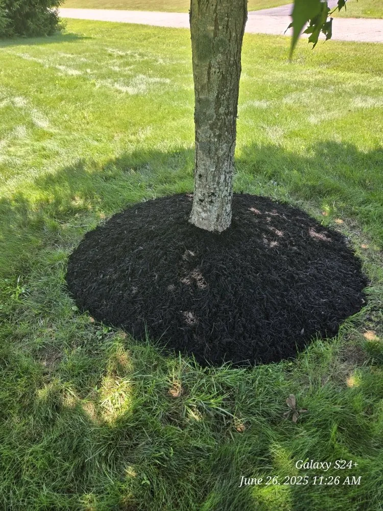 Expert yard cleanup service for year-round maintenance across Newark, OH - Watsons Tree Hauling And Scrap Removal And Old Furniture