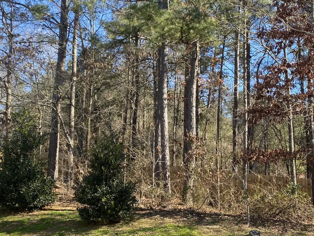 Affordable residential landscaping in Cartersville, GA by Watters & Watters Lawn Services