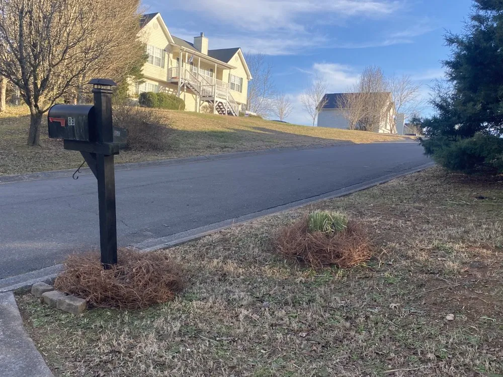 Top-rated yard maintenance for beautiful yards in Cartersville, GA by Watters & Watters Lawn Services