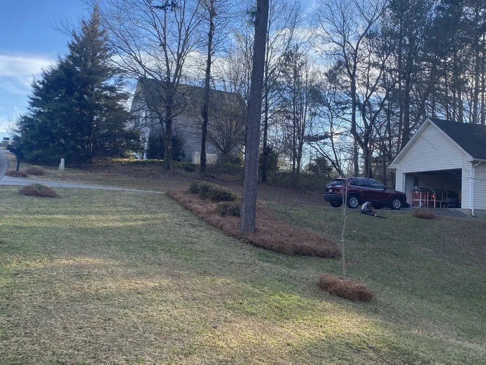 Reliable yard maintenance in Cartersville, GA by Watters & Watters Lawn Services