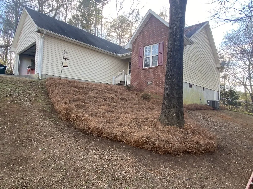 Local yard cleanup service for beautiful yards in Cartersville, GA by Watters & Watters Lawn Services