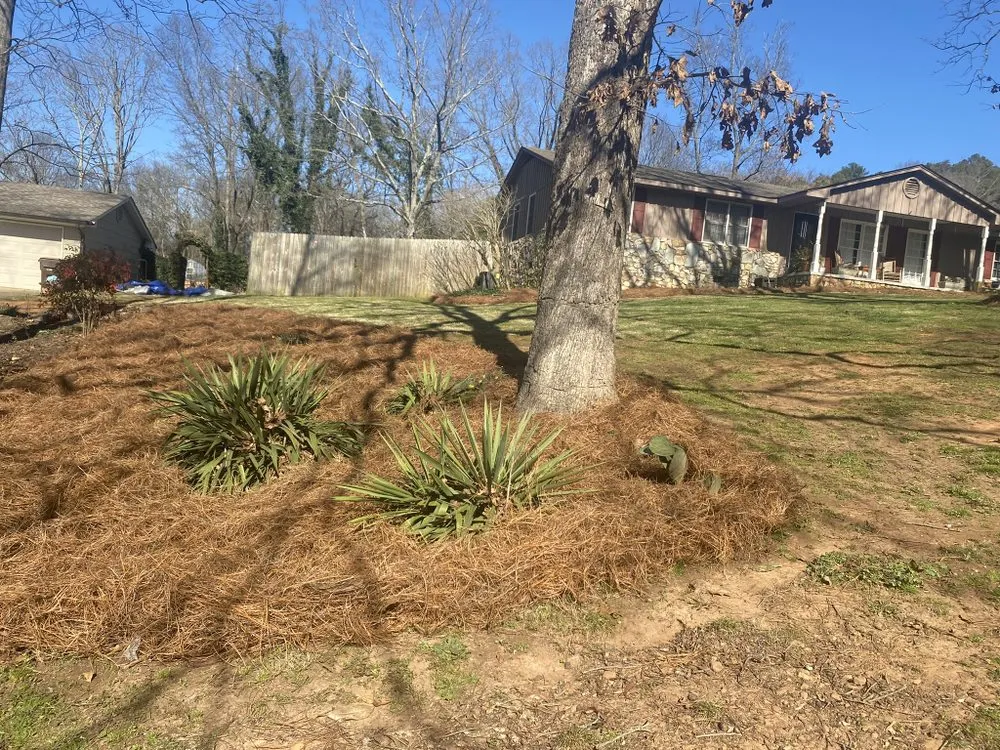 Trusted lawn mowing service in Cartersville, GA by Watters & Watters Lawn Services