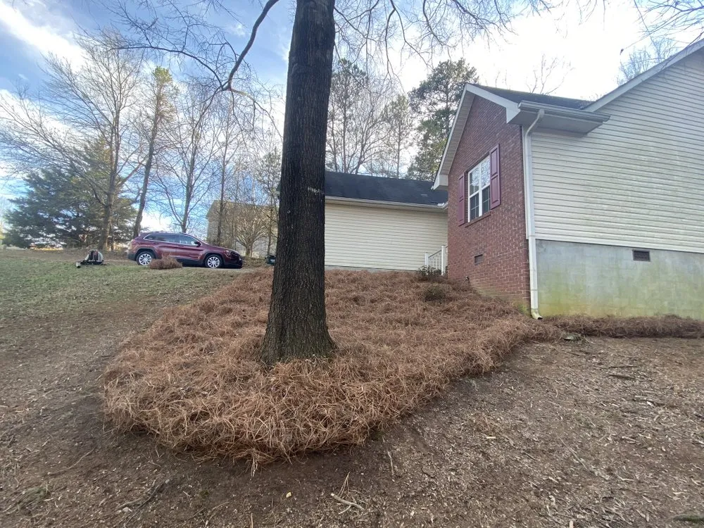 Trusted landscape installation in Cartersville, GA by Watters & Watters Lawn Services