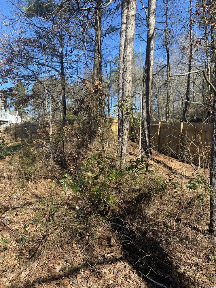 Trusted outdoor landscaping in Cartersville, GA by Watters & Watters Lawn Services