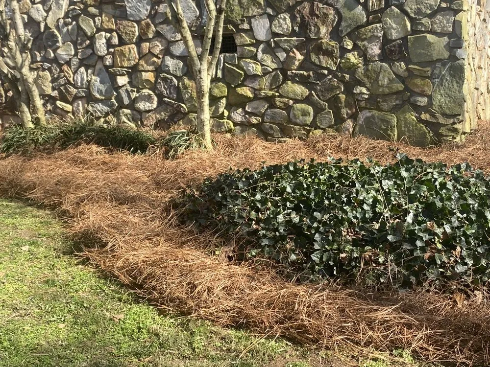 Local lawn mowing service in Cartersville, GA - Watters & Watters Lawn Services