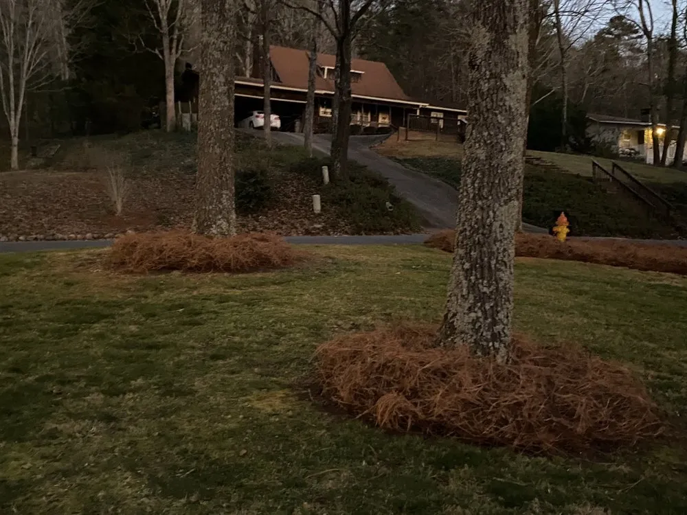 Professional yard maintenance for residential properties across Cartersville, GA - Watters & Watters Lawn Services