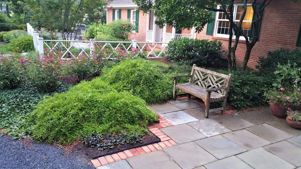 Expert yard maintenance experts serving Oxford, MD - Watterscape Designs