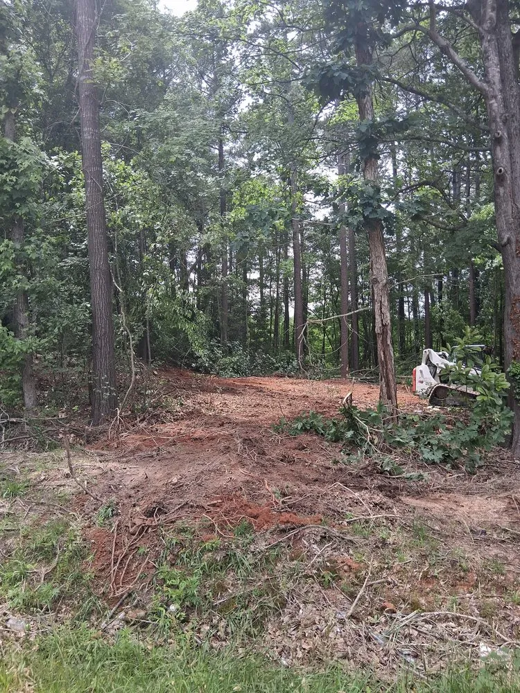 Top-rated yard cleanup service in Elgin, SC - Watts Clearing And Grading