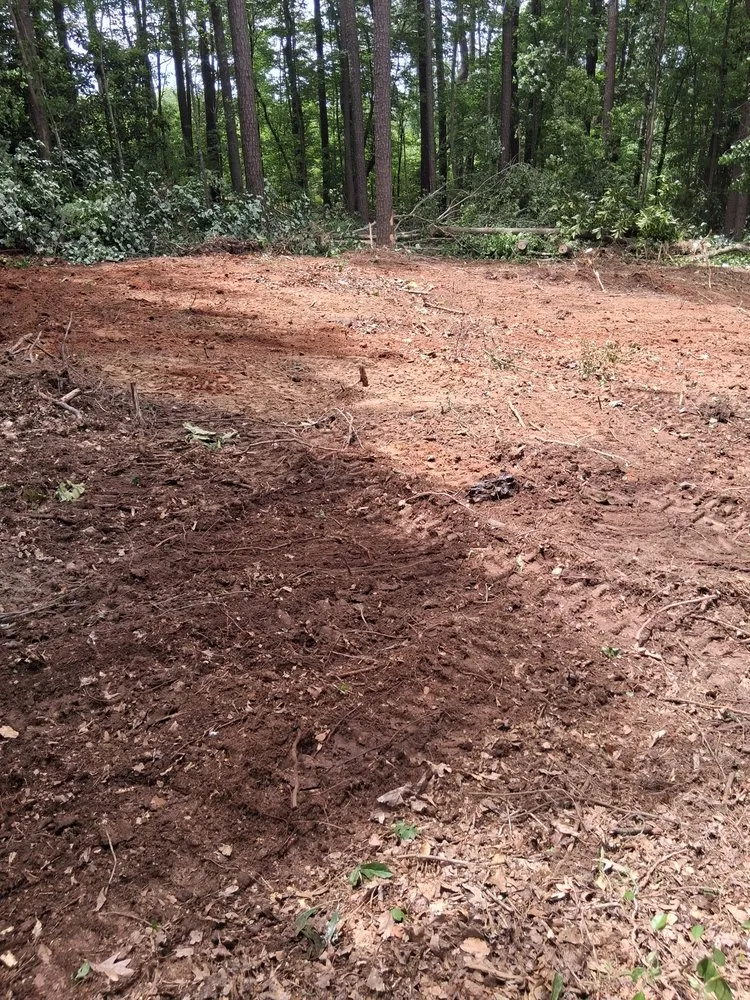 Professional outdoor landscaping for year-round maintenance across Elgin, SC - Watts Clearing And Grading