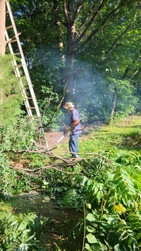 Trusted residential landscaping in Appomattox, VA by Watts Lawn Care & Mobile Detailing