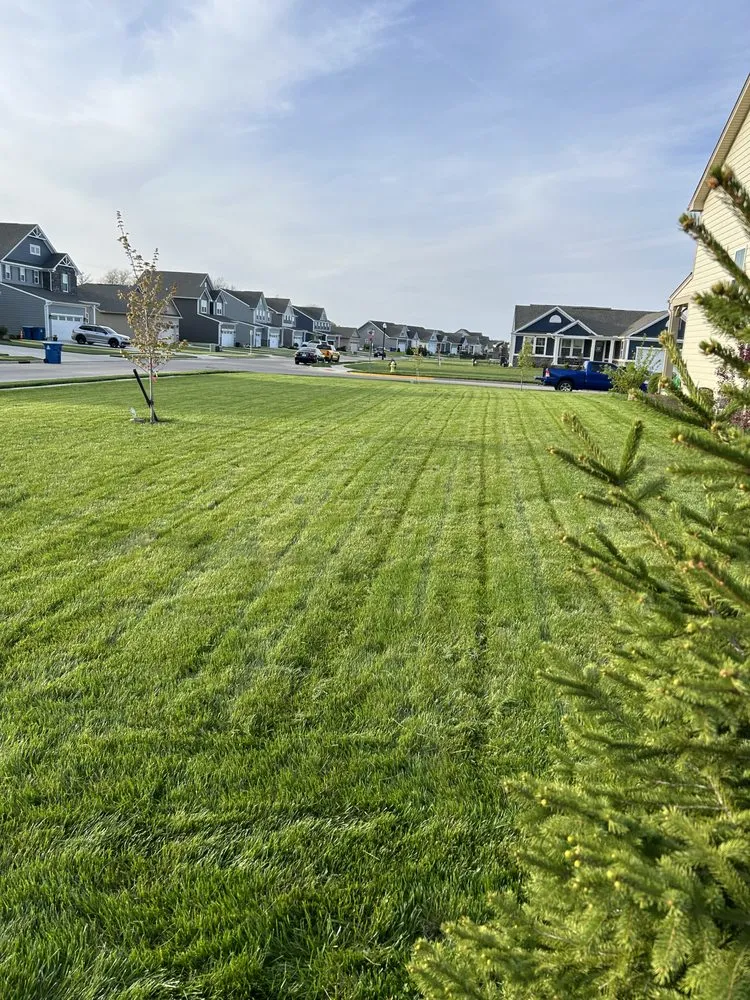Affordable yard cleanup service in Dayton, OH by Watts Lawncare