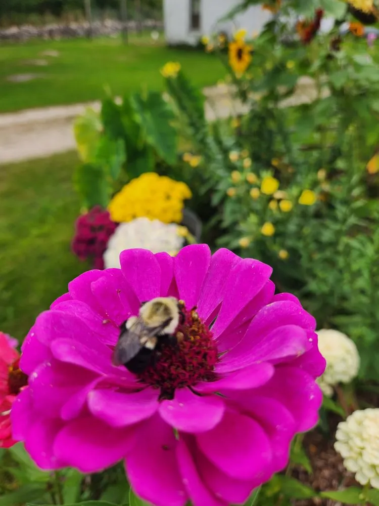 Top-rated landscaping services experts serving Waupaca, WI - Waupaca Chain O Lakes Plant Garden Lawn Care