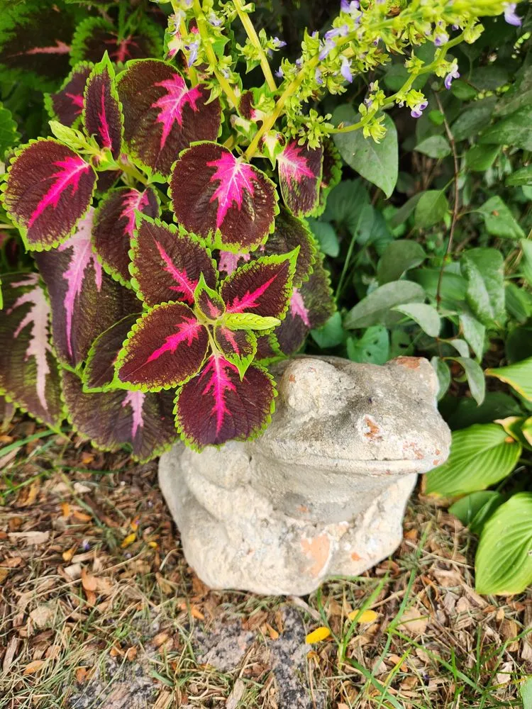 Custom residential landscaping for homes across Waupaca, WI - Waupaca Chain O Lakes Plant Garden Lawn Care