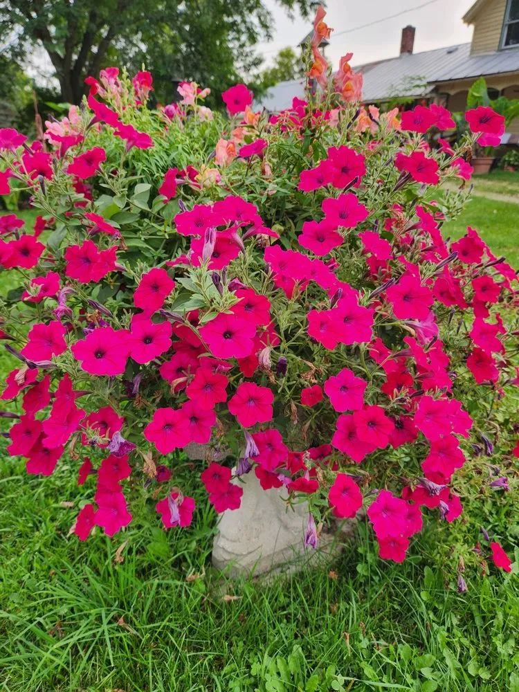 Trusted garden landscaping in Waupaca, WI by Waupaca Chain O Lakes Plant Garden Lawn Care