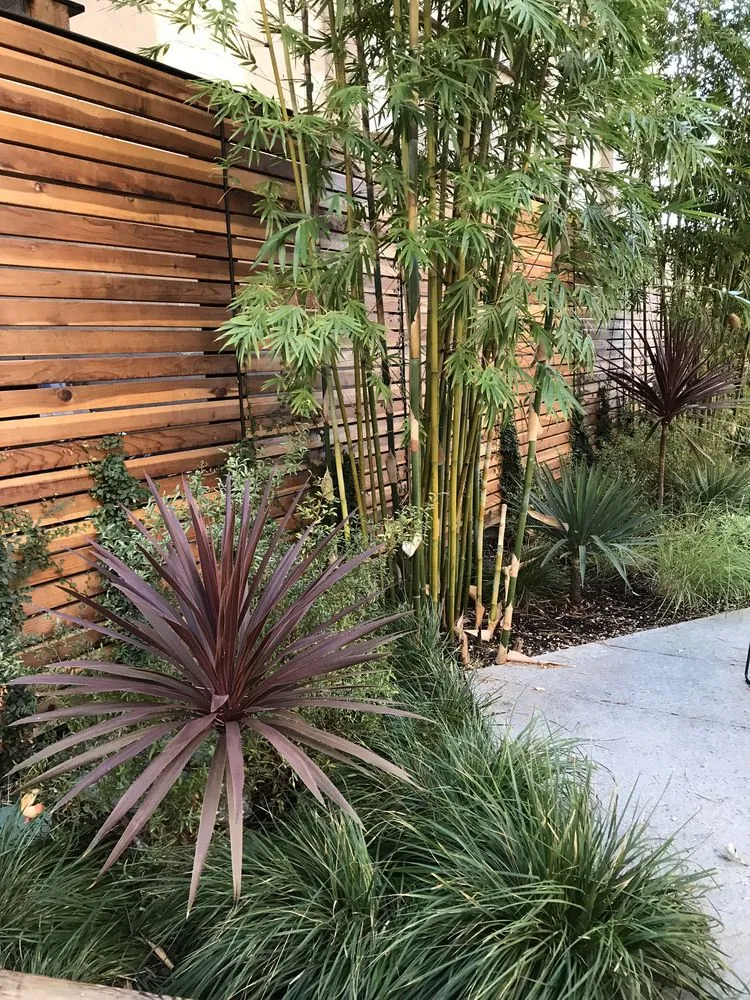 Reliable yard maintenance for residential properties across Fairfax, CA - Wave Hill Landscaping and Irrigation