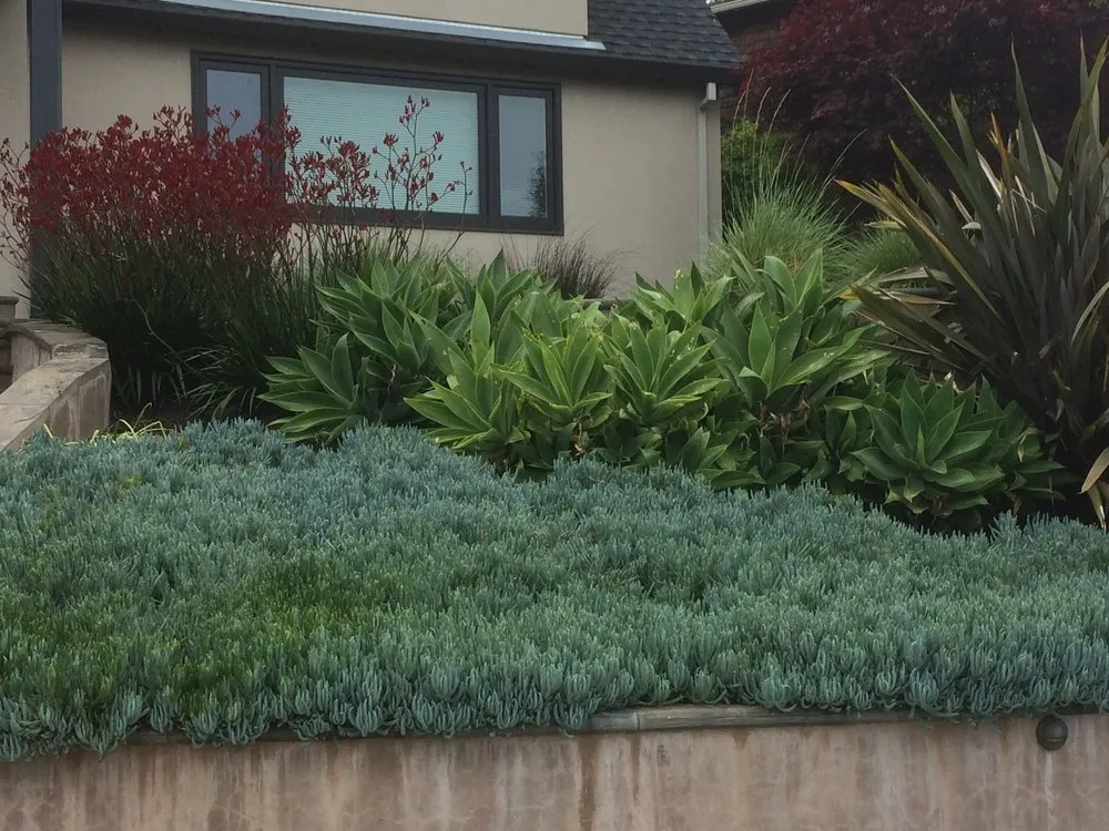 Top-rated outdoor landscaping near you across Fairfax, CA - Wave Hill Landscaping and Irrigation