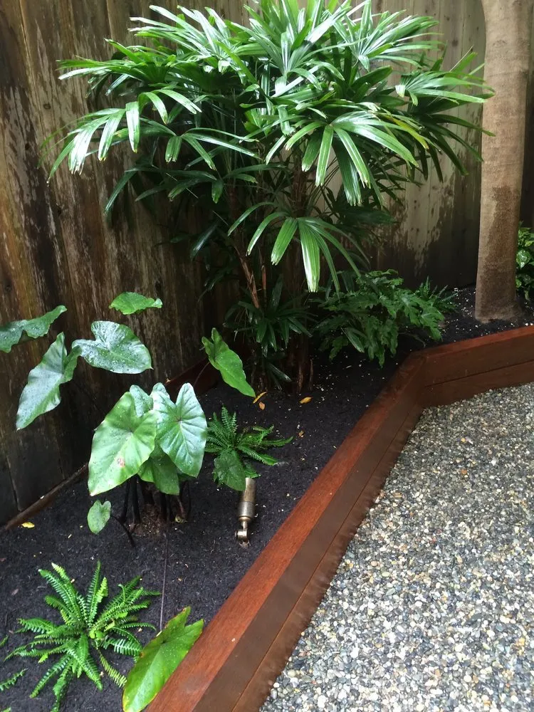 Reliable yard maintenance experts serving Fairfax, CA - Wave Hill Landscaping and Irrigation