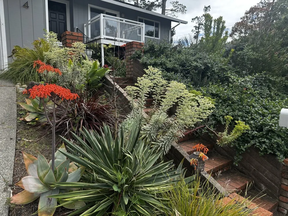 Custom yard maintenance in Fairfax, CA - Wave Hill Landscaping and Irrigation