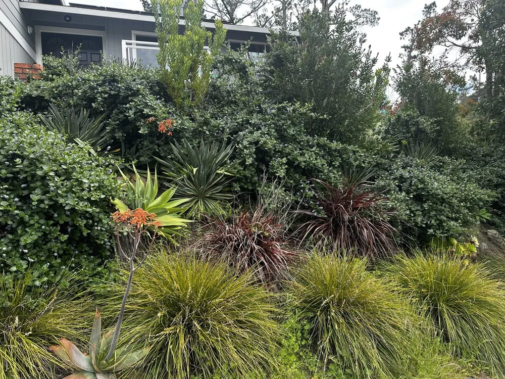 Custom landscape installation experts serving Fairfax, CA - Wave Hill Landscaping and Irrigation