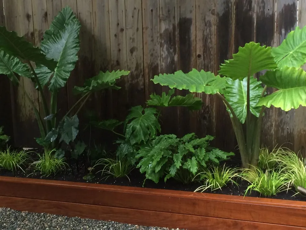 Top-rated outdoor landscaping experts serving Fairfax, CA - Wave Hill Landscaping and Irrigation