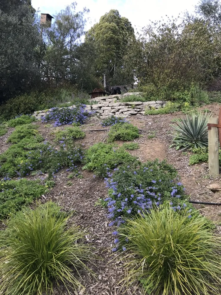 Professional lawn mowing service experts serving Fairfax, CA - Wave Hill Landscaping and Irrigation