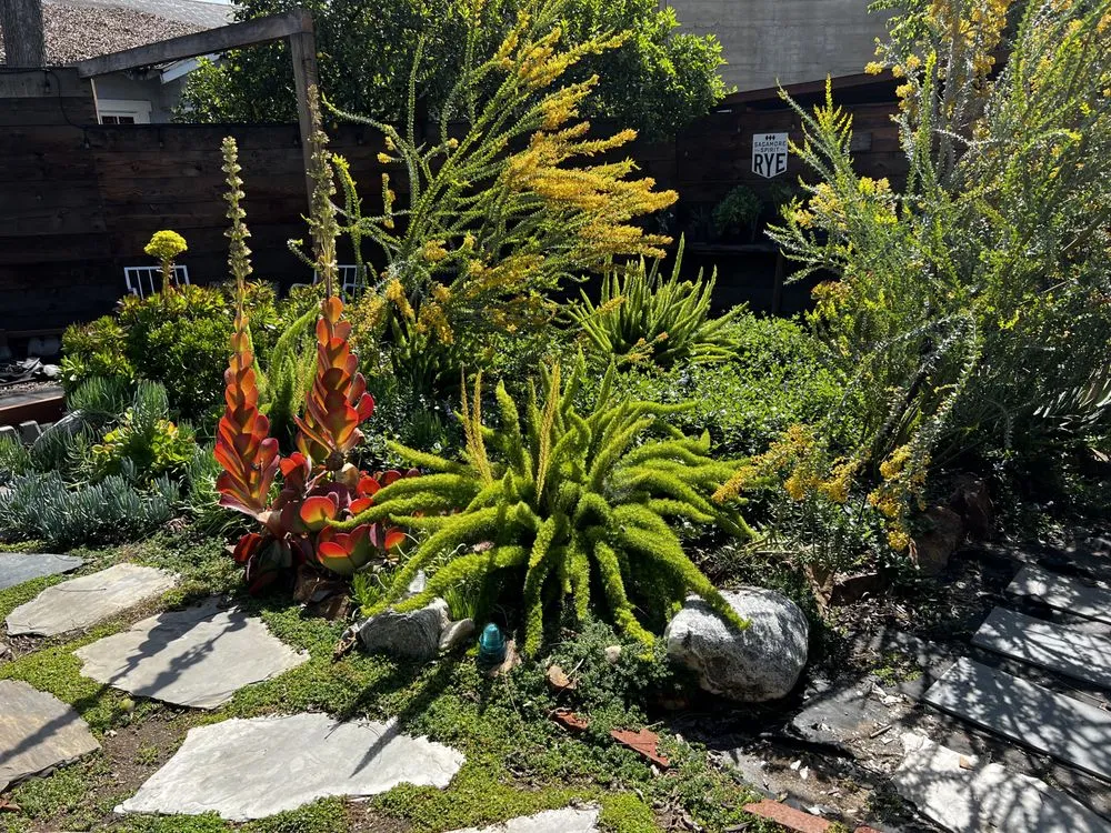 Professional residential landscaping experts serving Fairfax, CA - Wave Hill Landscaping and Irrigation