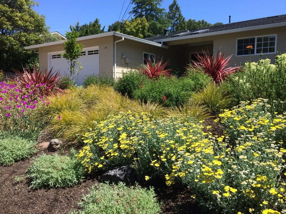Affordable landscape design experts serving Fairfax, CA - Wave Hill Landscaping and Irrigation