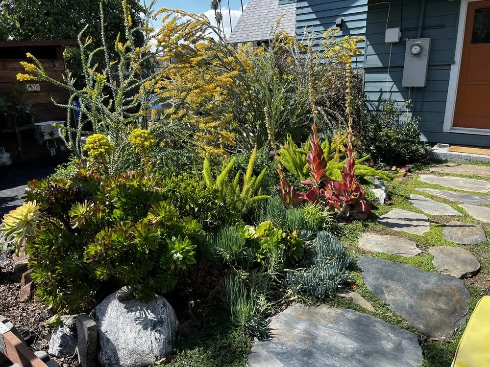 Reliable landscaping services experts serving Fairfax, CA - Wave Hill Landscaping and Irrigation