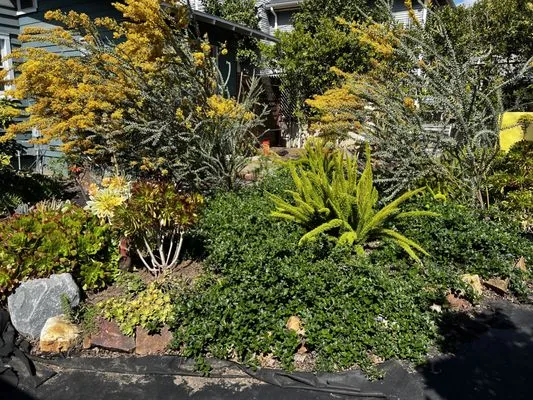 Wave Hill Landscaping and Irrigation