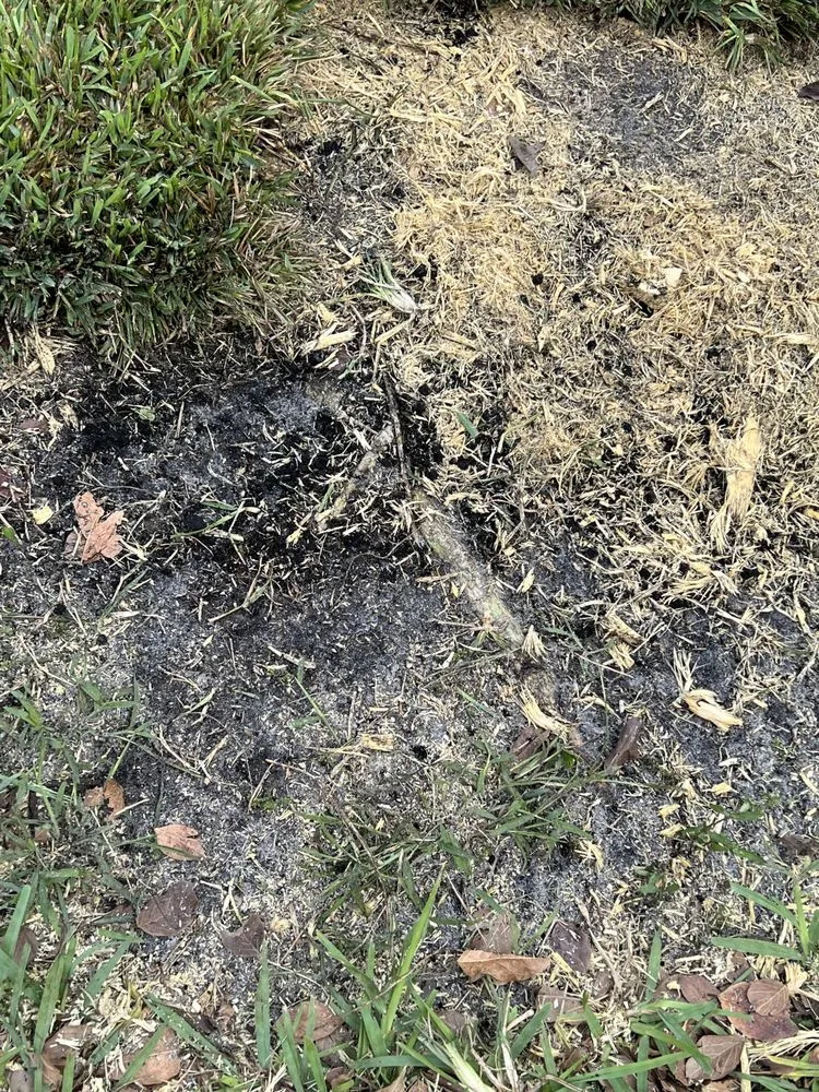 Affordable yard maintenance in Palm Beach County, FL by Wave Landscaping & Design