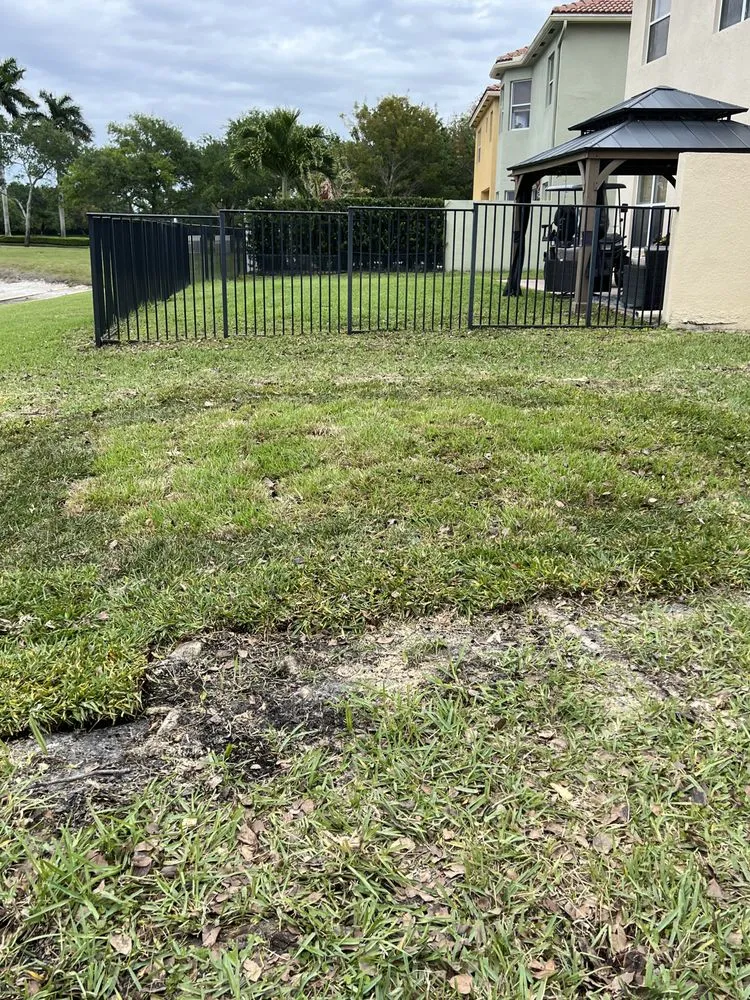 Trusted lawn mowing service experts serving Palm Beach County, FL - Wave Landscaping & Design