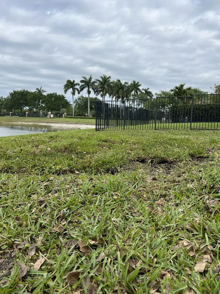 Reliable landscape design experts serving Palm Beach County, FL - Wave Landscaping & Design