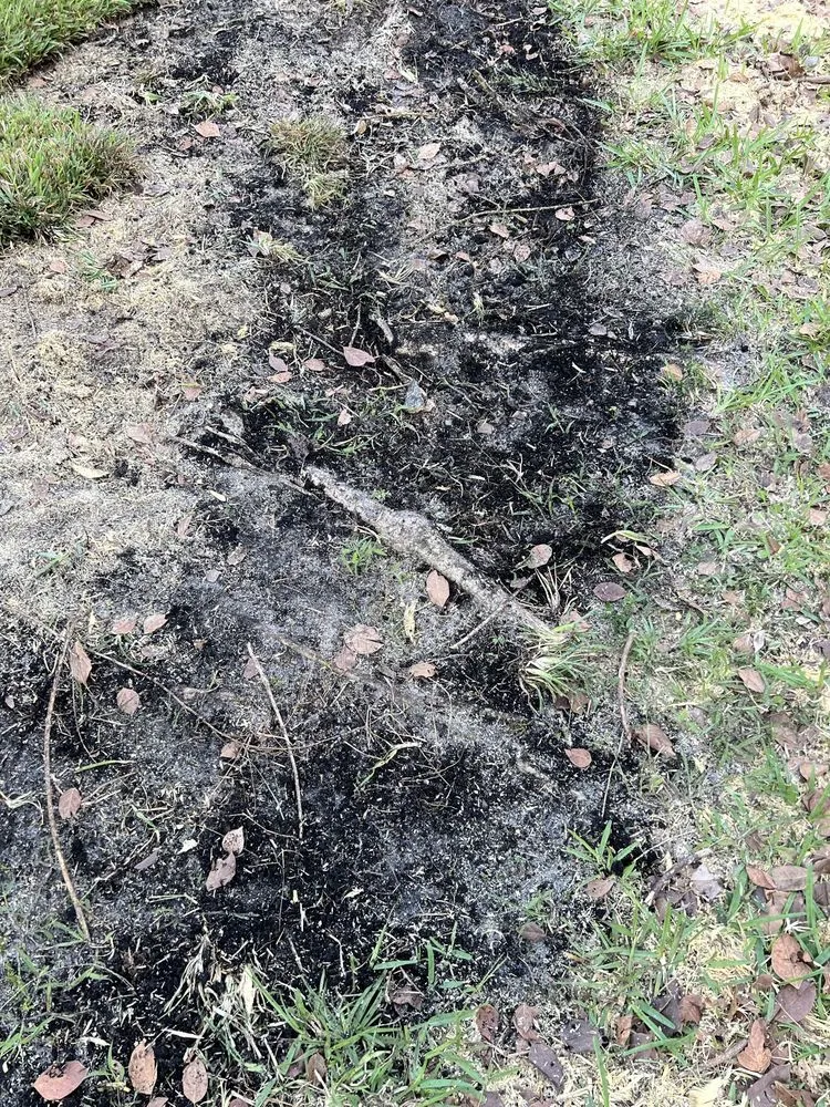Professional lawn care service for beautiful yards in Palm Beach County, FL by Wave Landscaping & Design