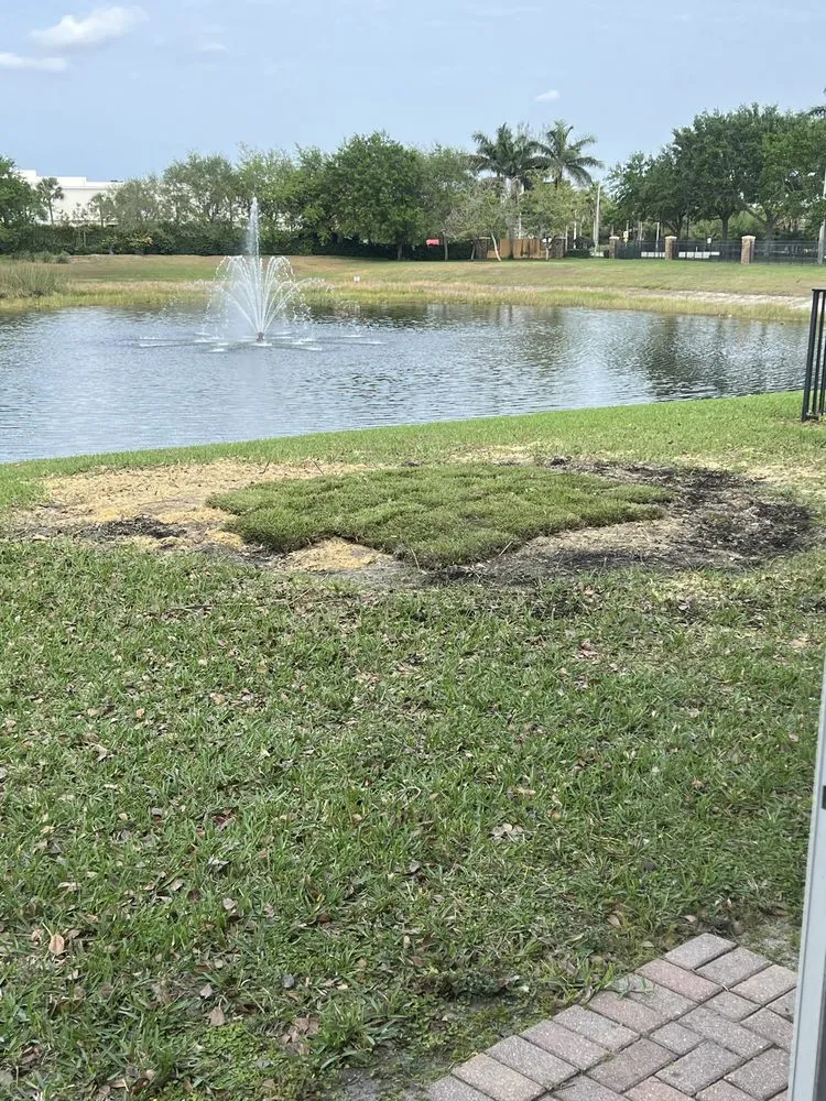 Trusted landscape design for beautiful yards in Palm Beach County, FL by Wave Landscaping & Design