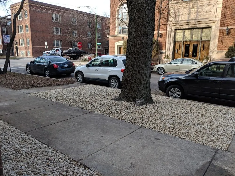 Custom yard cleanup service for outdoor upgrades in Mt. Prospect, IL by Wave Outdoors Landscape + Design